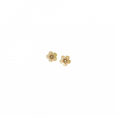 Серьги Goldie