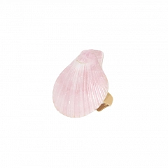 Кольцо Spiaggia Rosa