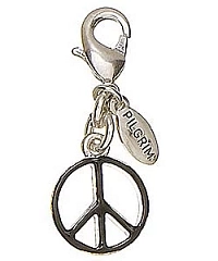 Кулон Charms Блестящее Серебро Черный