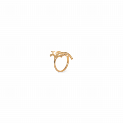 Кольцо Darya