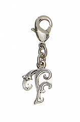 Кулон Charms Блестящее Серебро