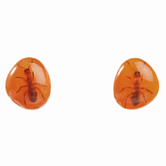 Серьги Ants Оранжевый