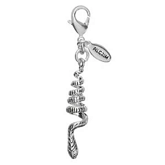 Кулон Charms Блестящее Серебро