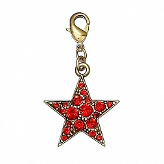 Кулон Charms Блестящее Золото Красный